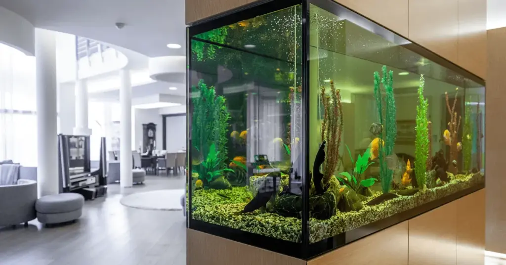 Mang vẻ đẹp thủy sinh đến phòng khách của bạn với bể cá treo tường