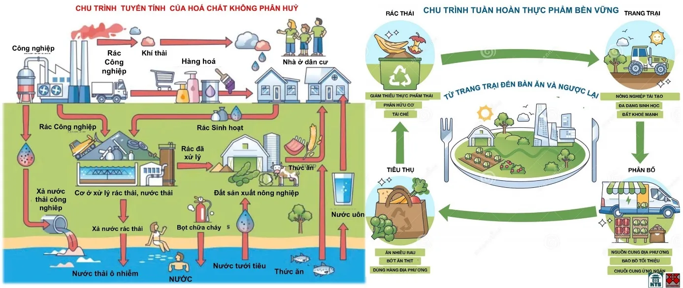Góp ý quy hoạch Hà Nội tầm nhìn 100 năm – Bài 8: Ứng dụng công nghệ số để phát triển kinh tế Xanh sinh thái bền vững Hà Nội