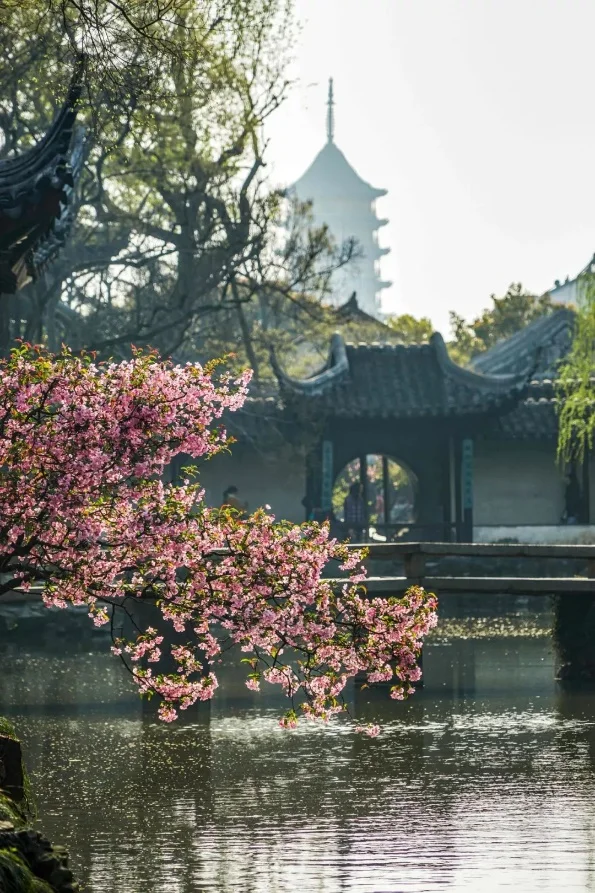 Vườn truyền thống Trung Hoa và Việt Nam: Từ tổ chức không gian đến trải nghiệm cảnh quan