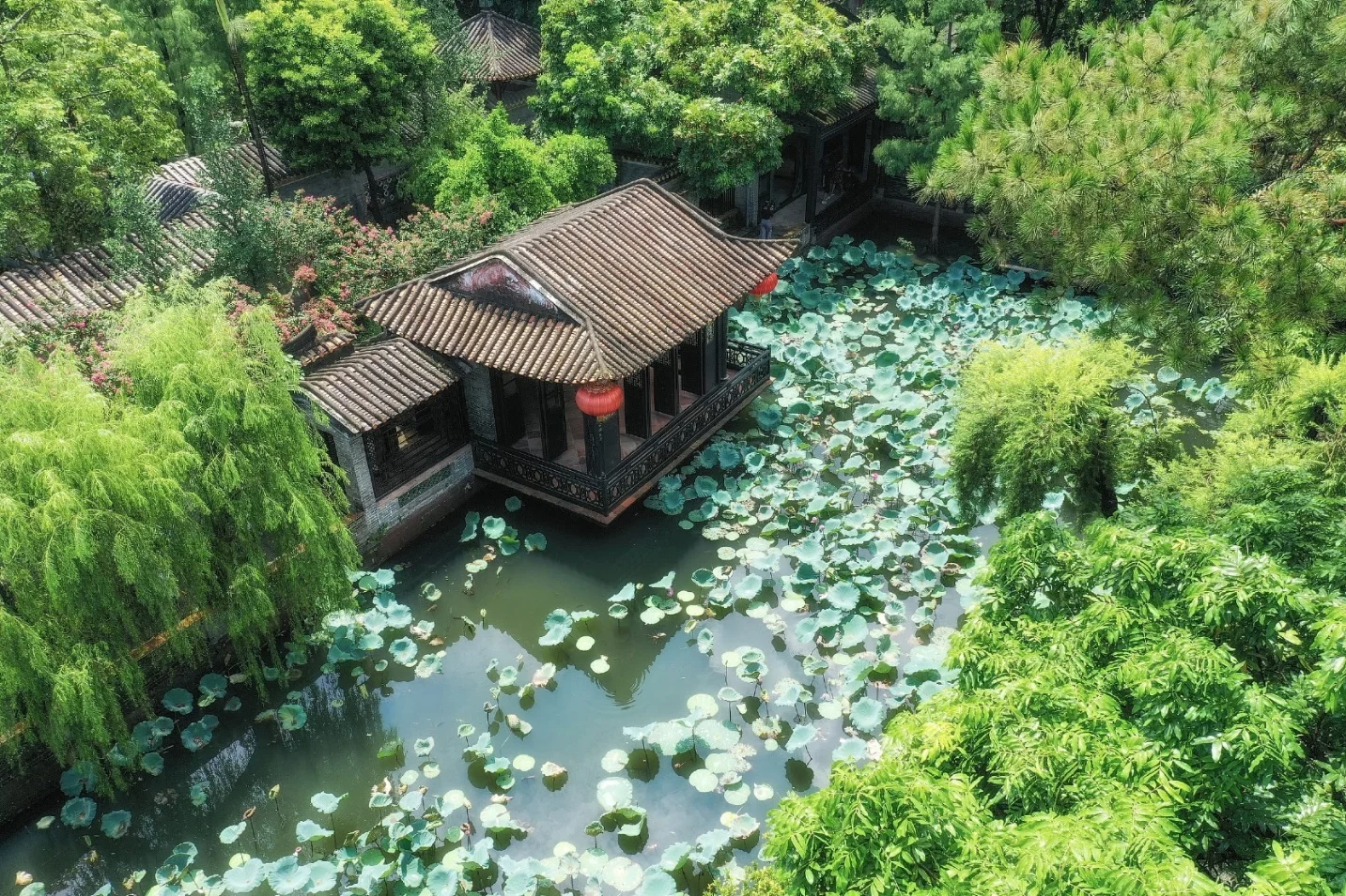 Vườn truyền thống Trung Hoa và Việt Nam: Từ tổ chức không gian đến trải nghiệm cảnh quan