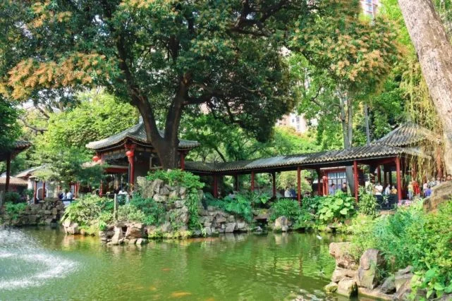 Vườn truyền thống Trung Hoa và Việt Nam: Từ tổ chức không gian đến trải nghiệm cảnh quan